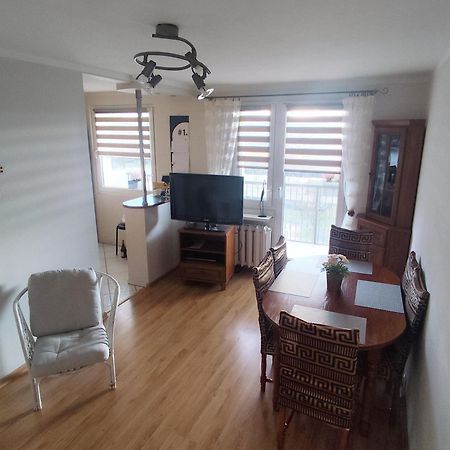 Apartament Z Widokiem Na Sniezke イェレニャ・グーラ エクステリア 写真