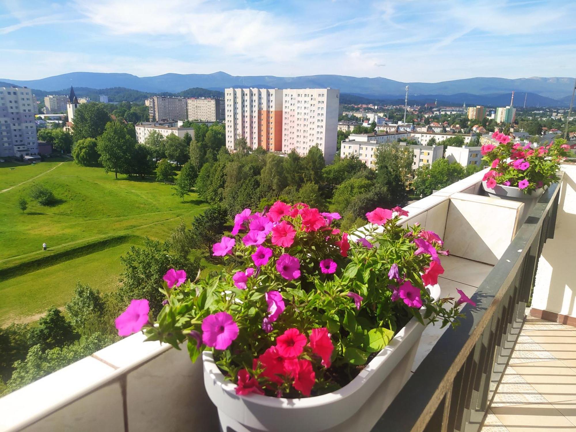 Apartament Z Widokiem Na Sniezke イェレニャ・グーラ エクステリア 写真
